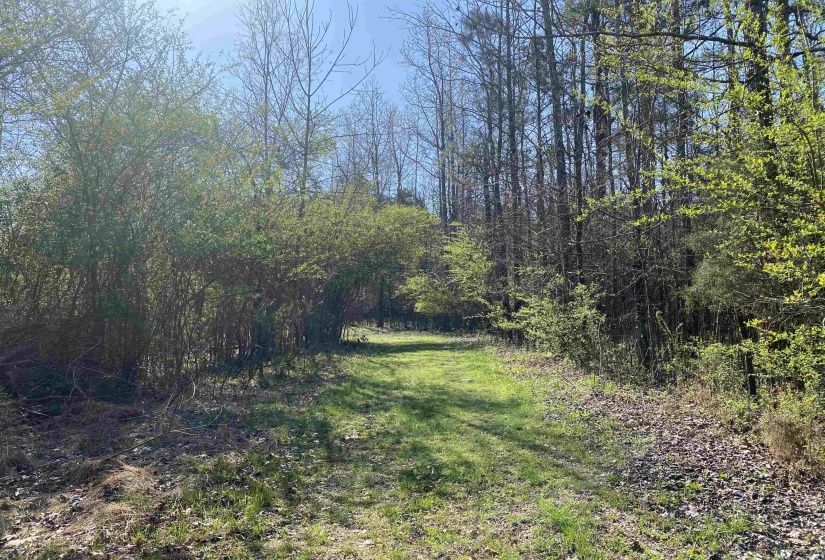 24.17 AC 194 HWY, Oakland, Tennessee 38060, ,Land,For Sale,194,10219501
