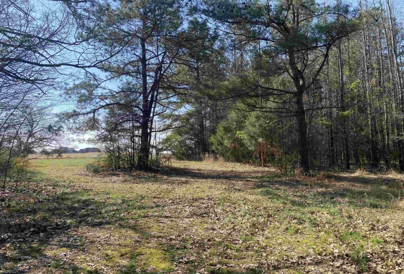 24.17 AC 194 HWY, Oakland, Tennessee 38060, ,Land,For Sale,194,10219501
