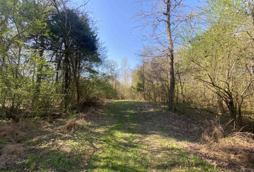 24.17 AC 194 HWY, Oakland, Tennessee 38060, ,Land,For Sale,194,10219501