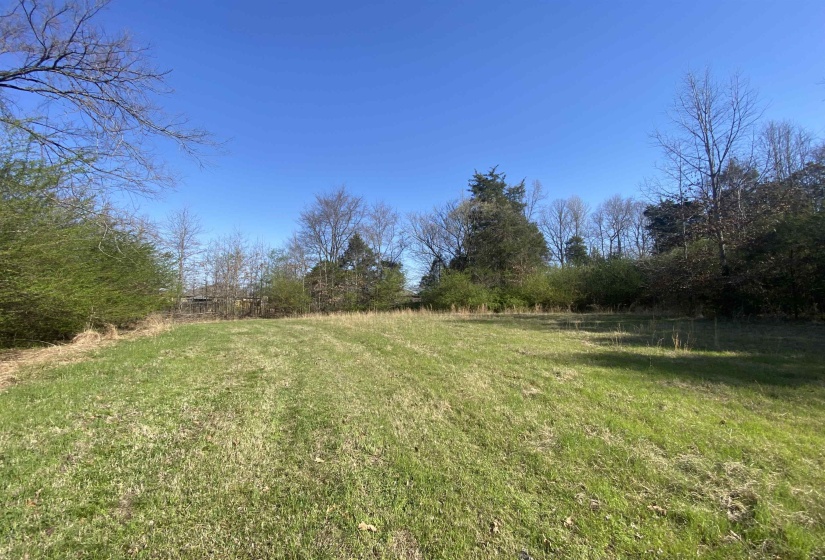 24.17 AC 194 HWY, Oakland, Tennessee 38060, ,Land,For Sale,194,10219501