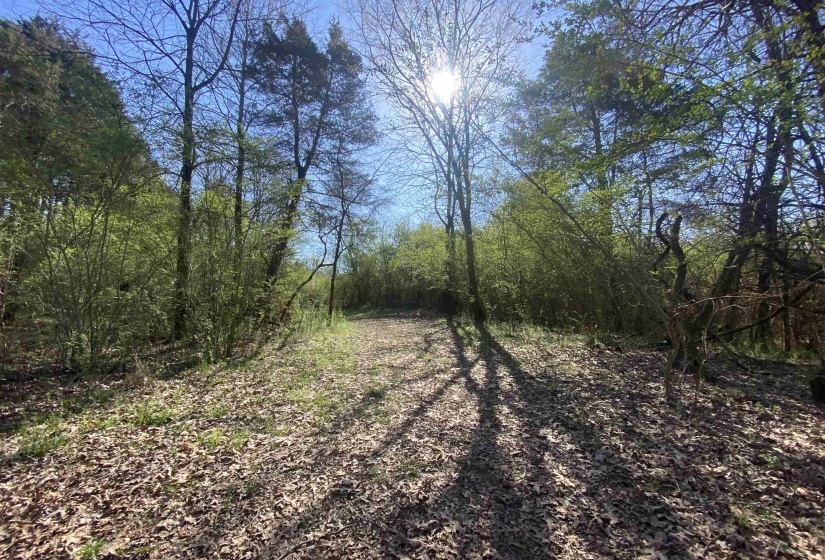 24.17 AC 194 HWY, Oakland, Tennessee 38060, ,Land,For Sale,194,10219501