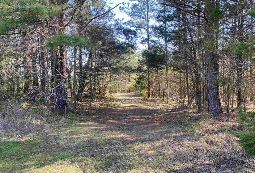 24.17 AC 194 HWY, Oakland, Tennessee 38060, ,Land,For Sale,194,10219501