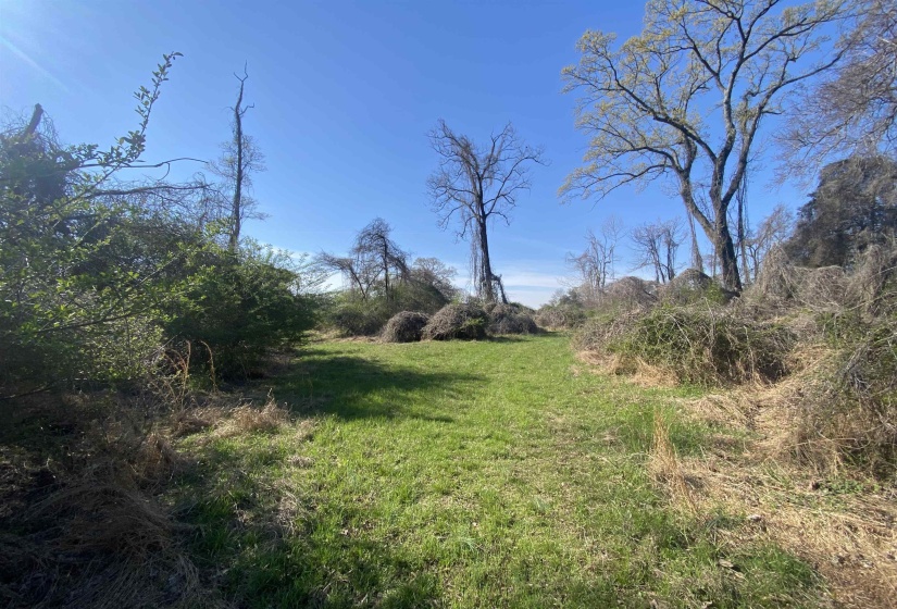 24.17 AC 194 HWY, Oakland, Tennessee 38060, ,Land,For Sale,194,10219501
