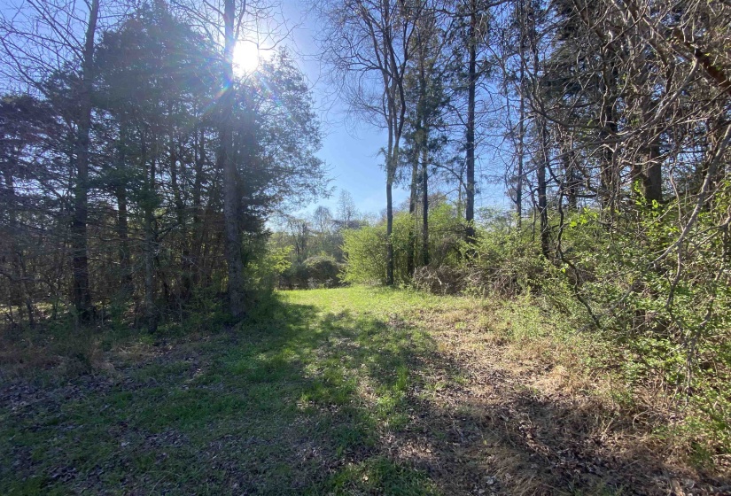 24.17 AC 194 HWY, Oakland, Tennessee 38060, ,Land,For Sale,194,10219501