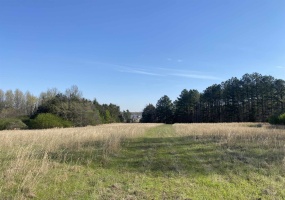 24.17 AC 194 HWY, Oakland, Tennessee 38060, ,Land,For Sale,194,10219501 24.17 AC 194 HWY, Oakland, Tennessee 38060, ,Land,For Sale,194,10219501