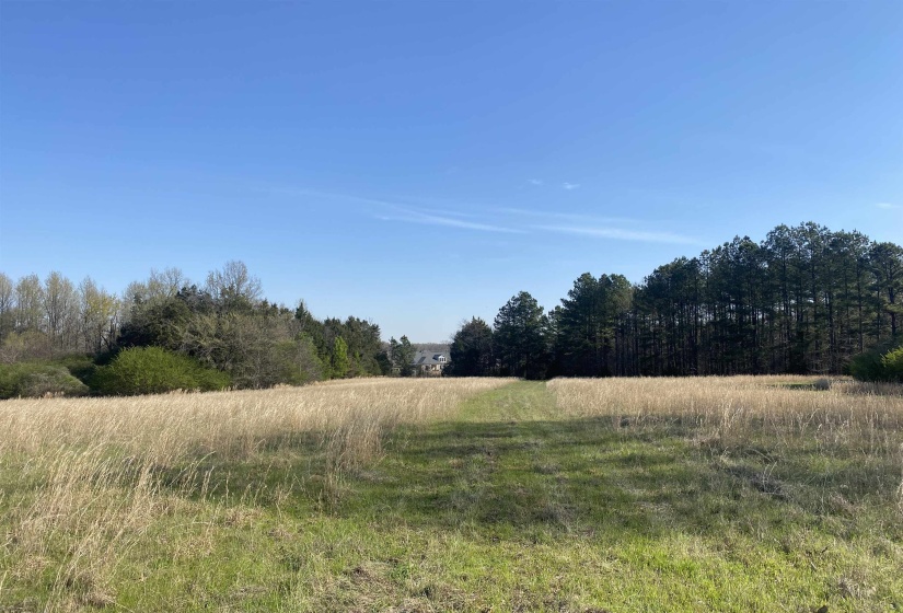 24.17 AC 194 HWY, Oakland, Tennessee 38060, ,Land,For Sale,194,10219501