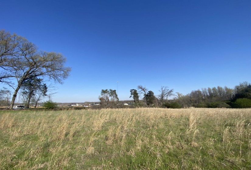 24.17 AC 194 HWY, Oakland, Tennessee 38060, ,Land,For Sale,194,10219501