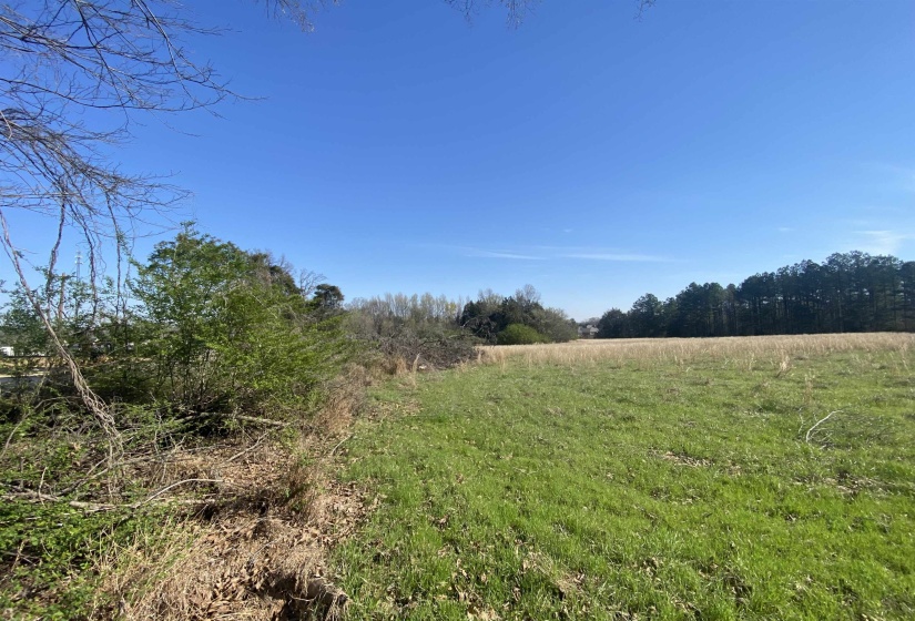 24.17 AC 194 HWY, Oakland, Tennessee 38060, ,Land,For Sale,194,10219501