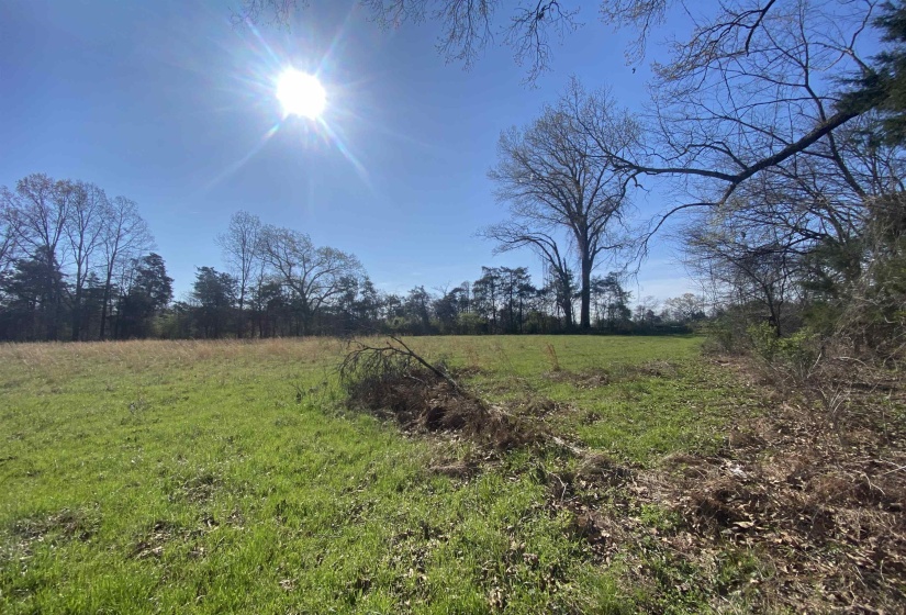 24.17 AC 194 HWY, Oakland, Tennessee 38060, ,Land,For Sale,194,10219501