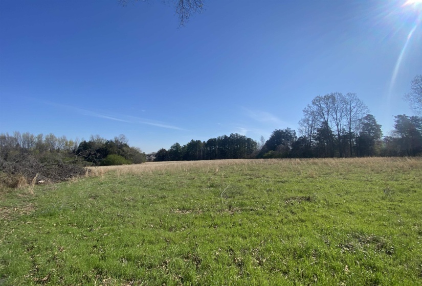 24.17 AC 194 HWY, Oakland, Tennessee 38060, ,Land,For Sale,194,10219501