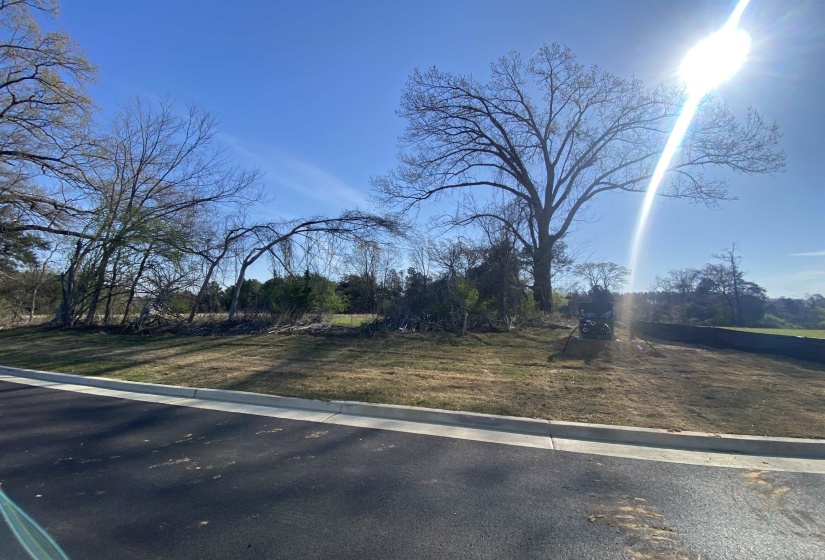 24.17 AC 194 HWY, Oakland, Tennessee 38060, ,Land,For Sale,194,10219501