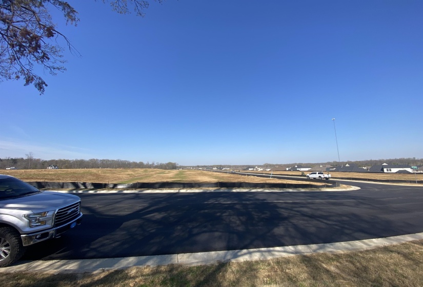 24.17 AC 194 HWY, Oakland, Tennessee 38060, ,Land,For Sale,194,10219501