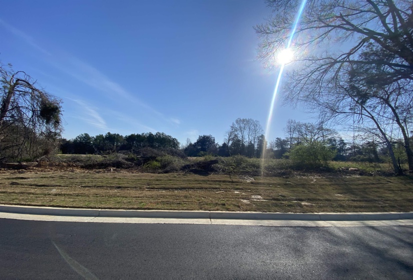 24.17 AC 194 HWY, Oakland, Tennessee 38060, ,Land,For Sale,194,10219501