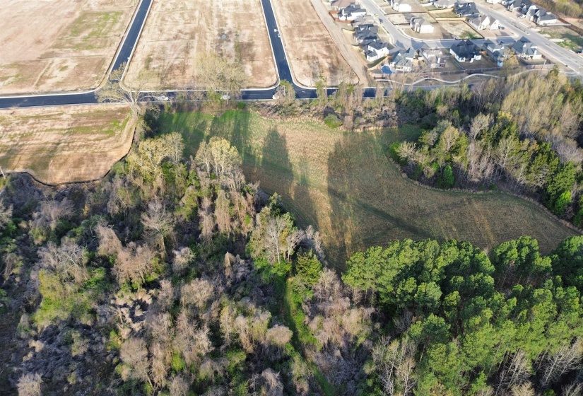 24.17 AC 194 HWY, Oakland, Tennessee 38060, ,Land,For Sale,194,10219501