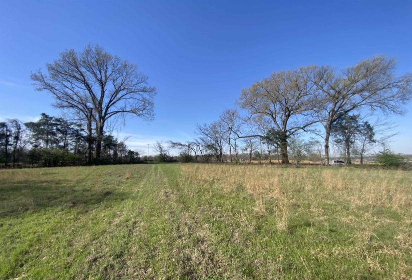24.17 AC 194 HWY, Oakland, Tennessee 38060, ,Land,For Sale,194,10219501