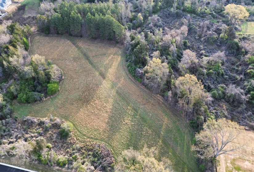 24.17 AC 194 HWY, Oakland, Tennessee 38060, ,Land,For Sale,194,10219501