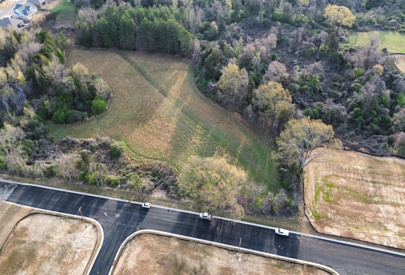 24.17 AC 194 HWY, Oakland, Tennessee 38060, ,Land,For Sale,194,10219501
