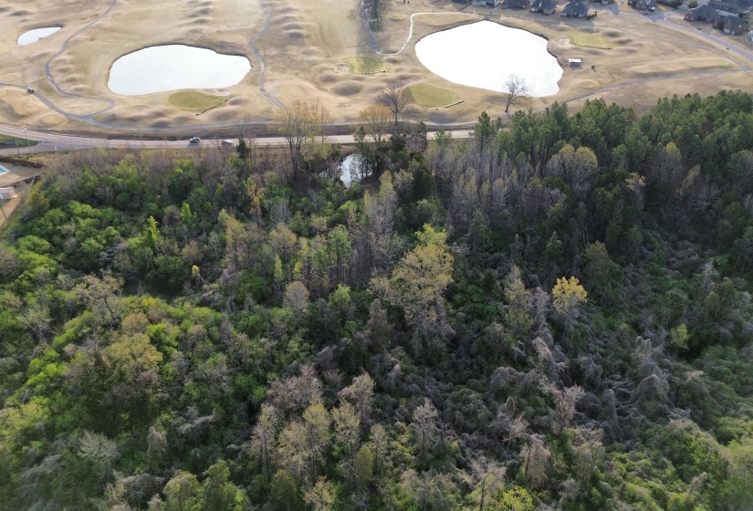 24.17 AC 194 HWY, Oakland, Tennessee 38060, ,Land,For Sale,194,10219501