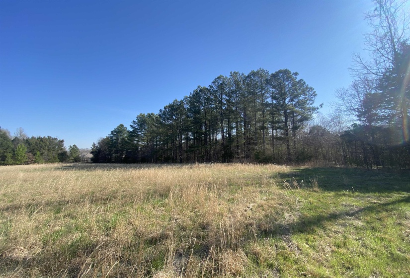 24.17 AC 194 HWY, Oakland, Tennessee 38060, ,Land,For Sale,194,10219501