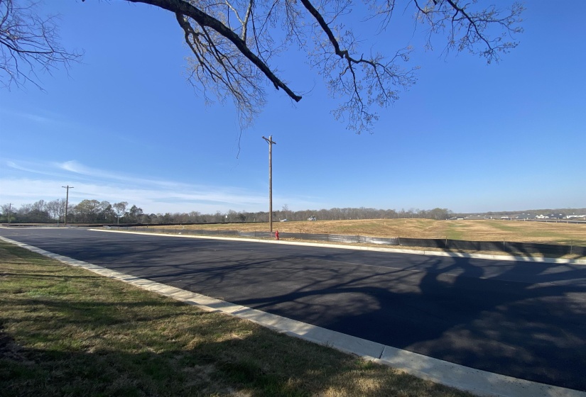 24.17 AC 194 HWY, Oakland, Tennessee 38060, ,Land,For Sale,194,10219501