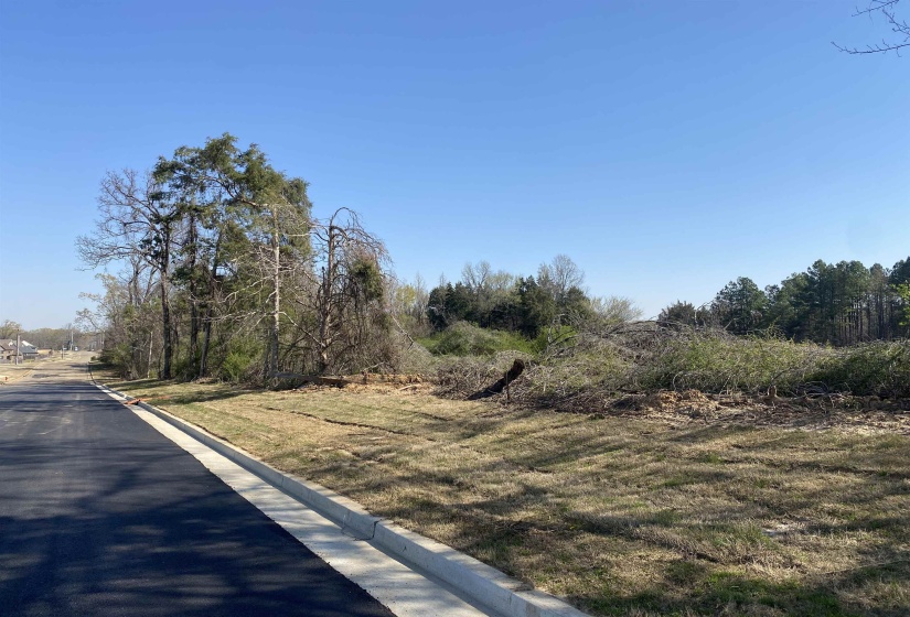 24.17 AC 194 HWY, Oakland, Tennessee 38060, ,Land,For Sale,194,10219501