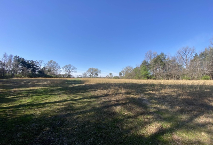 24.17 AC 194 HWY, Oakland, Tennessee 38060, ,Land,For Sale,194,10219501