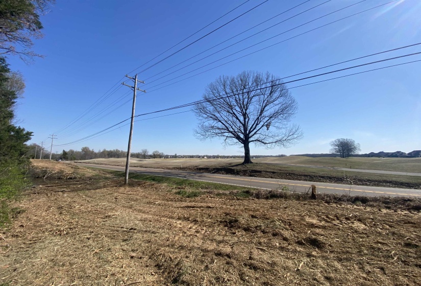 24.17 AC 194 HWY, Oakland, Tennessee 38060, ,Land,For Sale,194,10219501