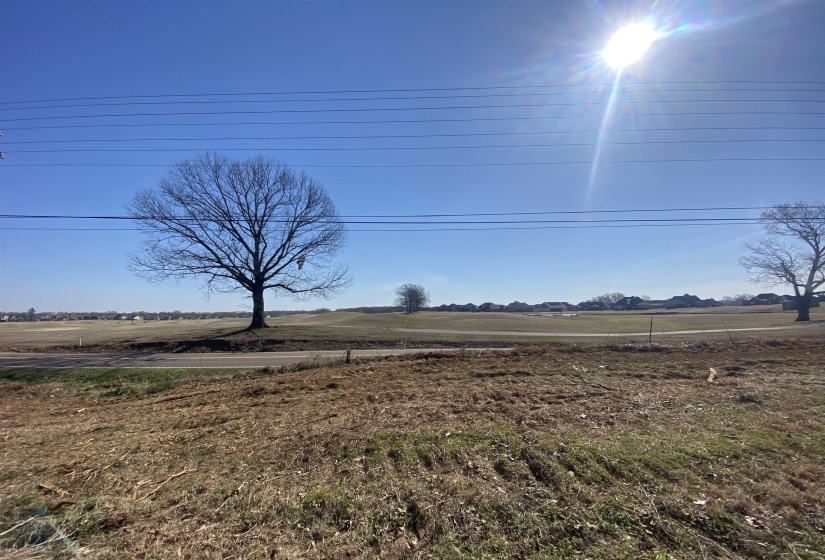 24.17 AC 194 HWY, Oakland, Tennessee 38060, ,Land,For Sale,194,10219501