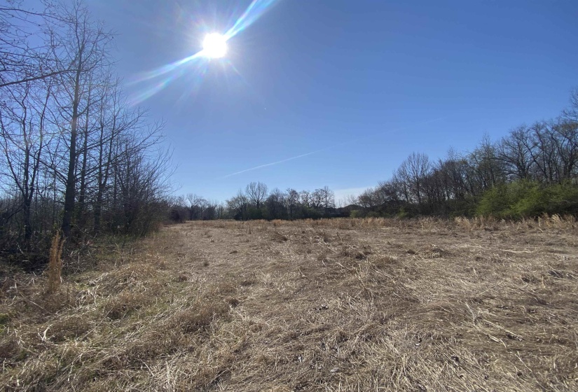 12.79 AC WIRT RD, Oakland, Tennessee 38060, ,Land,For Sale,WIRT,10219502