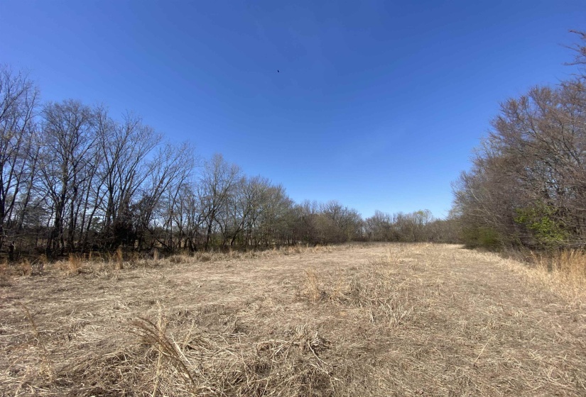 12.79 AC WIRT RD, Oakland, Tennessee 38060, ,Land,For Sale,WIRT,10219502