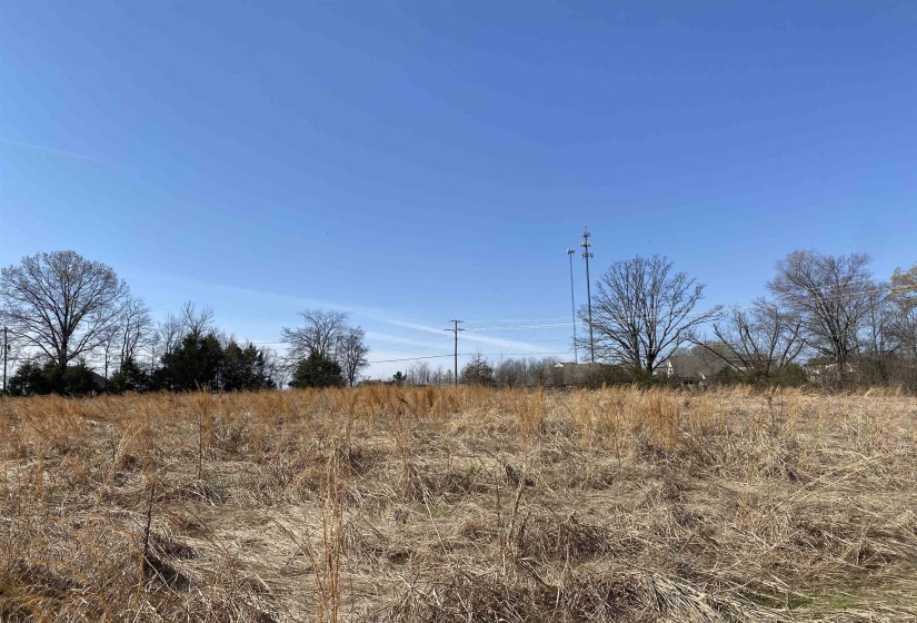 12.79 AC WIRT RD, Oakland, Tennessee 38060, ,Land,For Sale,WIRT,10219502