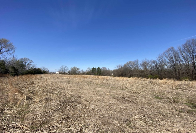 12.79 AC WIRT RD, Oakland, Tennessee 38060, ,Land,For Sale,WIRT,10219502