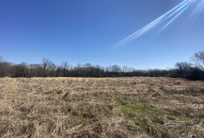 12.79 AC WIRT RD, Oakland, Tennessee 38060, ,Land,For Sale,WIRT,10219502