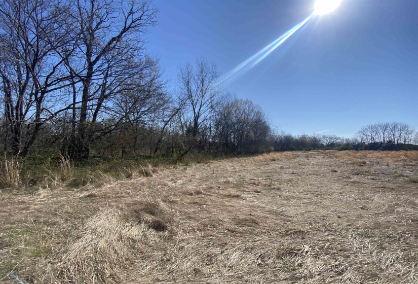 12.79 AC WIRT RD, Oakland, Tennessee 38060, ,Land,For Sale,WIRT,10219502