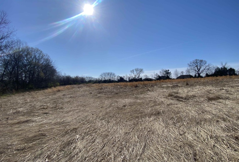 12.79 AC WIRT RD, Oakland, Tennessee 38060, ,Land,For Sale,WIRT,10219502