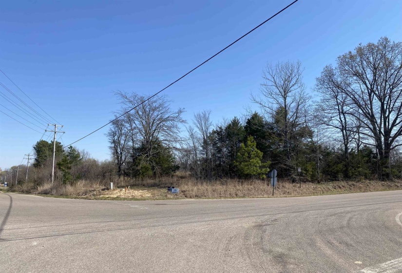 12.79 AC WIRT RD, Oakland, Tennessee 38060, ,Land,For Sale,WIRT,10219502