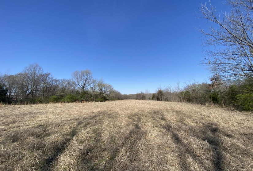 12.79 AC WIRT RD, Oakland, Tennessee 38060, ,Land,For Sale,WIRT,10219502