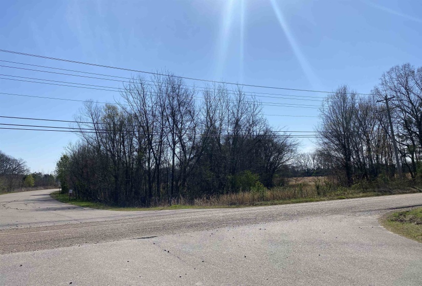12.79 AC WIRT RD, Oakland, Tennessee 38060, ,Land,For Sale,WIRT,10219502