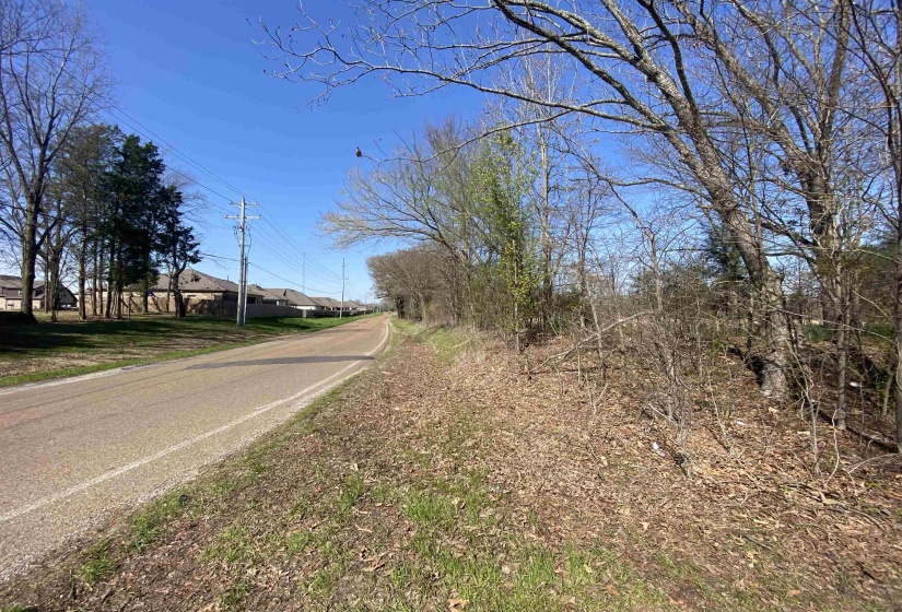 12.79 AC WIRT RD, Oakland, Tennessee 38060, ,Land,For Sale,WIRT,10219502