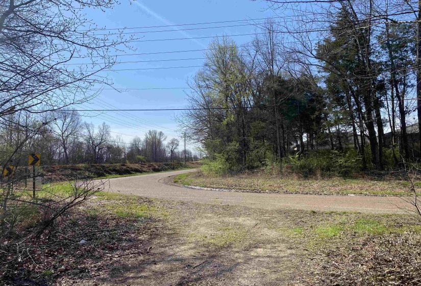 12.79 AC WIRT RD, Oakland, Tennessee 38060, ,Land,For Sale,WIRT,10219502