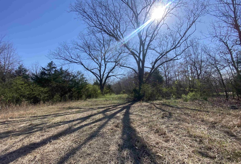 12.79 AC WIRT RD, Oakland, Tennessee 38060, ,Land,For Sale,WIRT,10219502