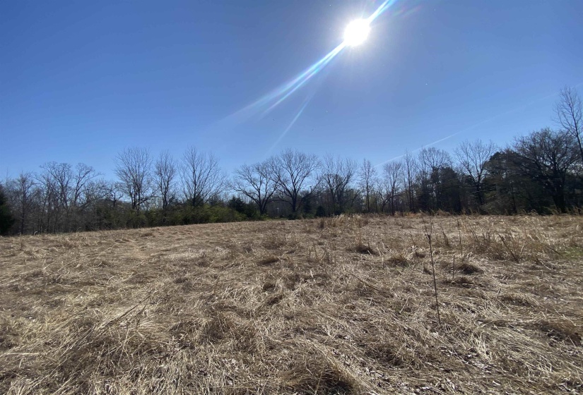 12.79 AC WIRT RD, Oakland, Tennessee 38060, ,Land,For Sale,WIRT,10219502