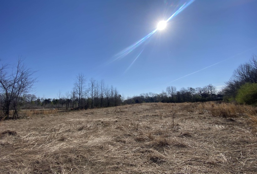 12.79 AC WIRT RD, Oakland, Tennessee 38060, ,Land,For Sale,WIRT,10219502
