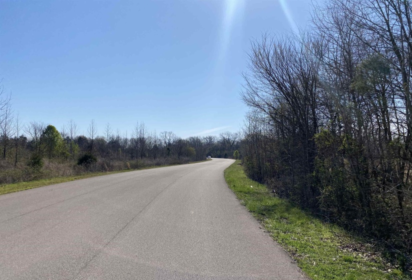 12.79 AC WIRT RD, Oakland, Tennessee 38060, ,Land,For Sale,WIRT,10219502