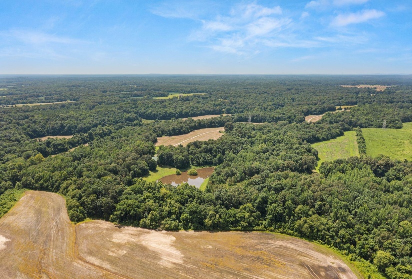 3890 AMES RD, Hickory Valley, Tennessee 38042-5865, 6 Bedrooms Bedrooms, 21 Rooms Rooms,7.1 BathroomsBathrooms,Residential,For Sale,AMES,10219490