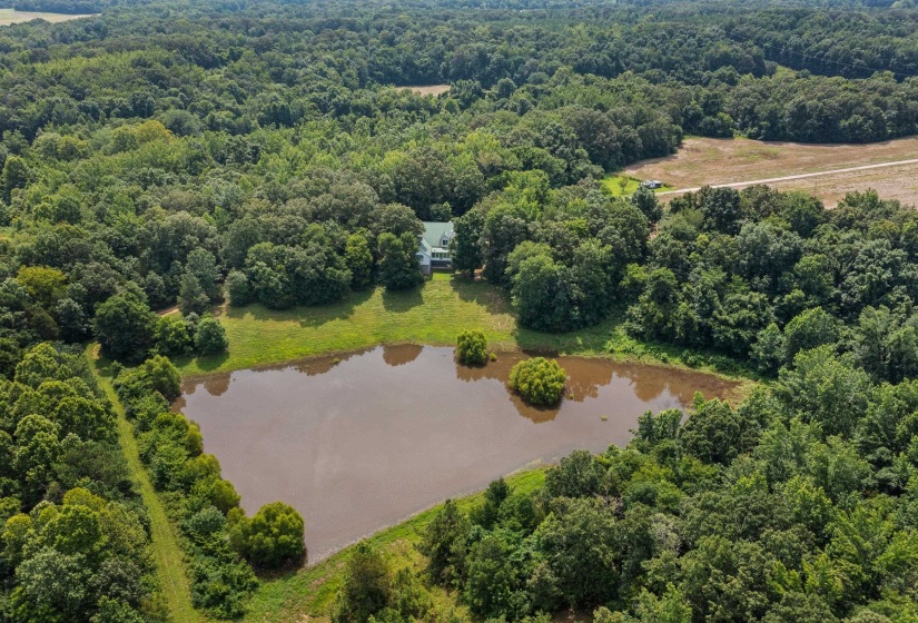 3890 AMES RD, Hickory Valley, Tennessee 38042-5865, 6 Bedrooms Bedrooms, 21 Rooms Rooms,7.1 BathroomsBathrooms,Residential,For Sale,AMES,10219490