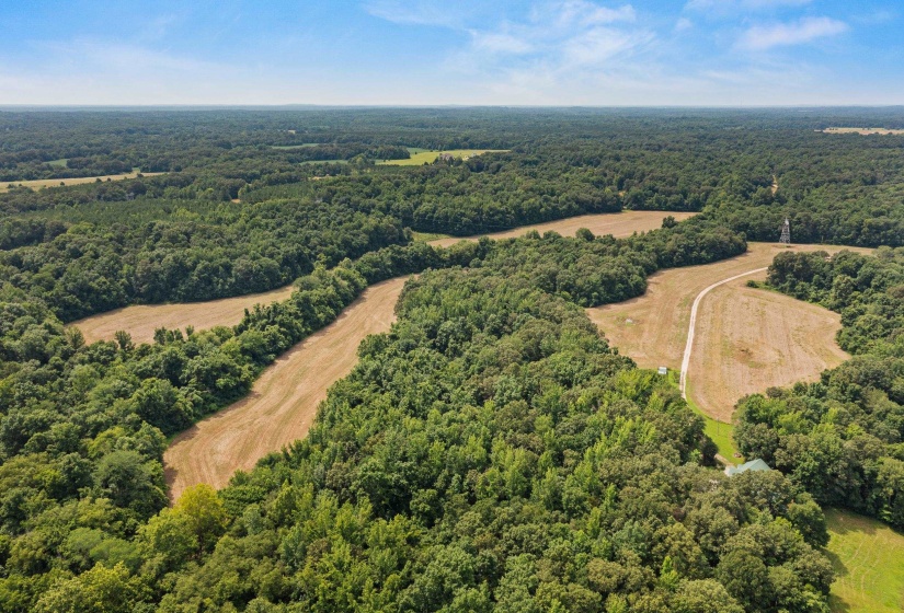 3890 AMES RD, Hickory Valley, Tennessee 38042-5865, 6 Bedrooms Bedrooms, 21 Rooms Rooms,7.1 BathroomsBathrooms,Residential,For Sale,AMES,10219490