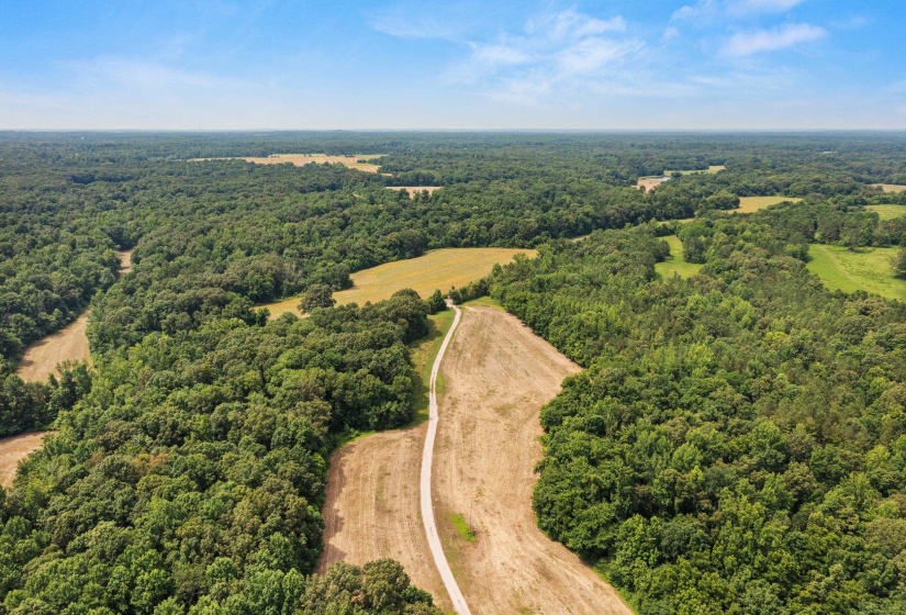 3890 AMES RD, Hickory Valley, Tennessee 38042-5865, 6 Bedrooms Bedrooms, 21 Rooms Rooms,7.1 BathroomsBathrooms,Residential,For Sale,AMES,10219490