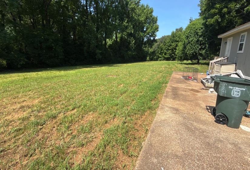 View of grassy yard