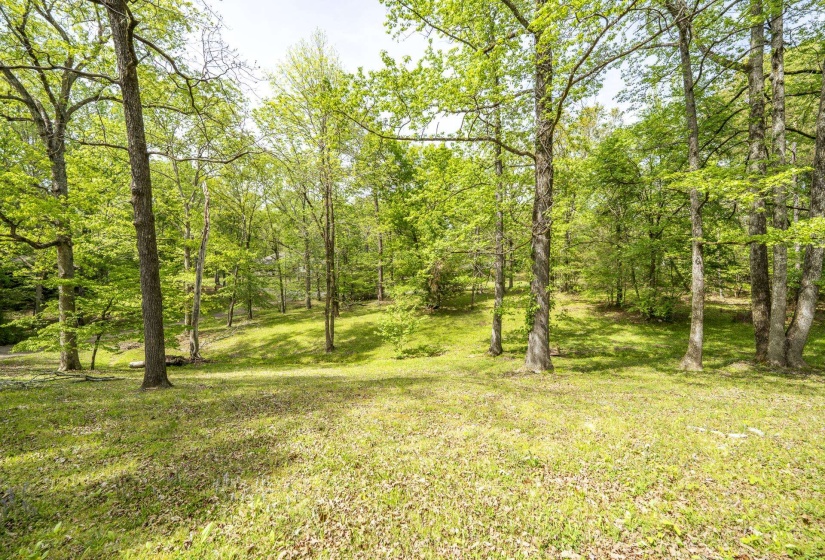 View of undeveloped land